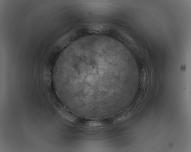 X0000094460749200711211540