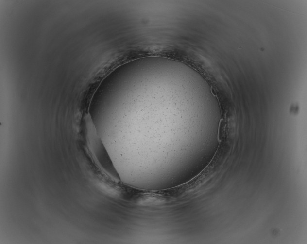 X0000094460750200711211540