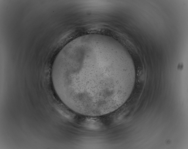 X0000094460753200711211540