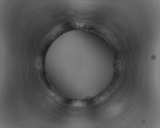 X0000094460754200711211540