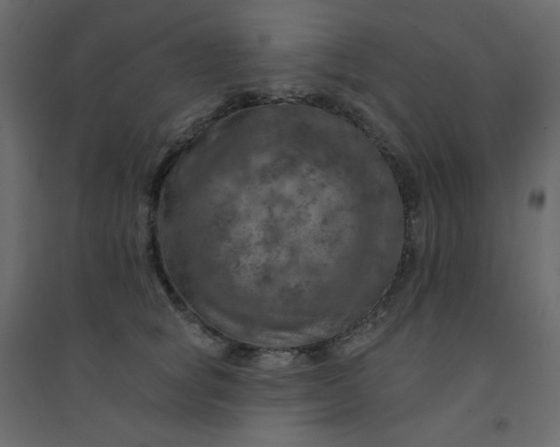 X0000094460757200711211540