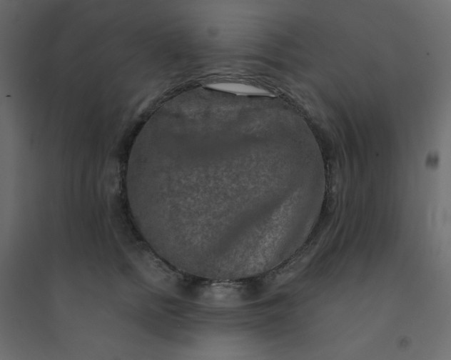 X0000094460758200711211540