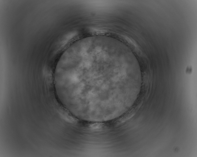 X0000094460761200711211540