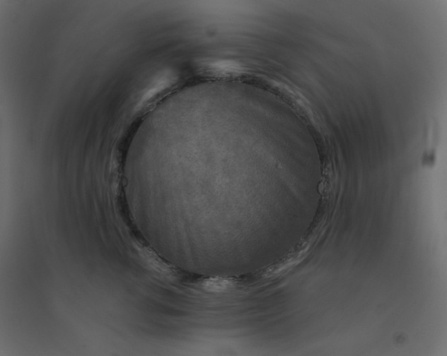 X0000094460762200711211540