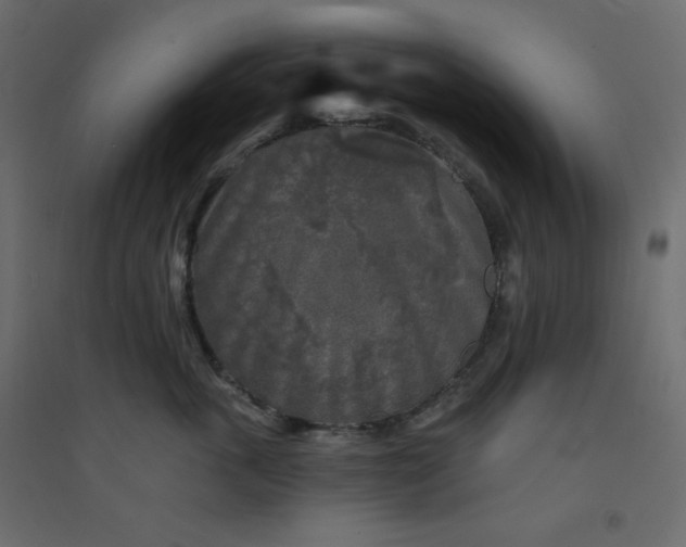 X0000094460763200711211540