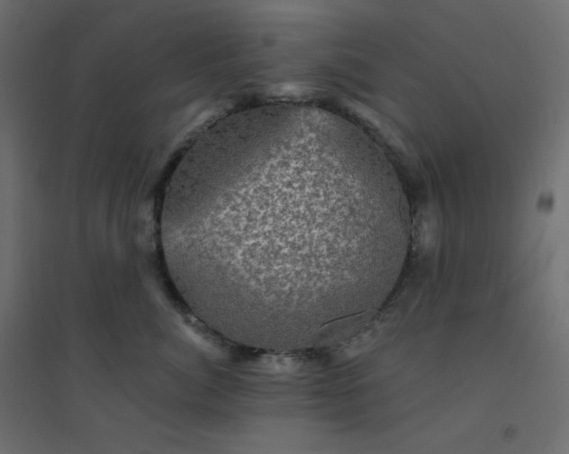 X0000094460764200711211540