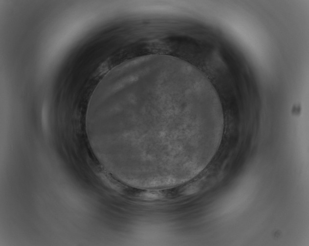 X0000094460765200711211540