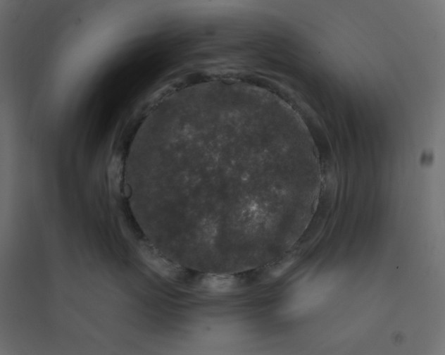 X0000094460767200711211540