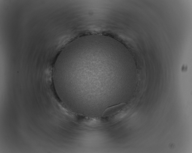 X0000094460768200711211540