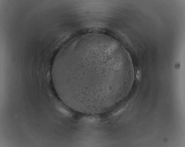 X0000094460771200711211540