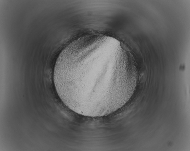 X0000094460772200711211540