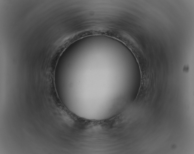 X0000094460773200711211540