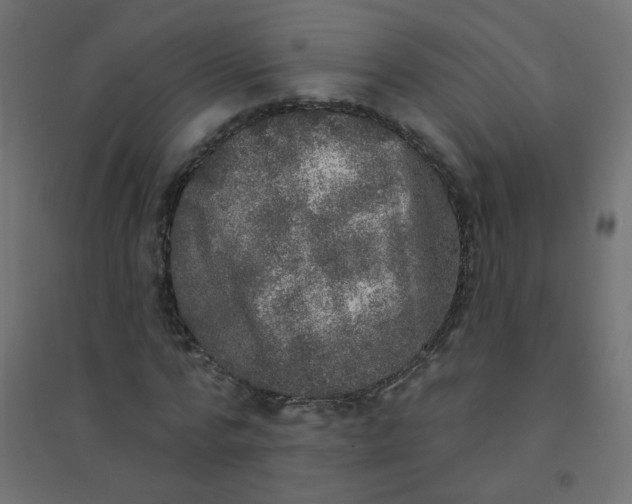 X0000094460776200711211540