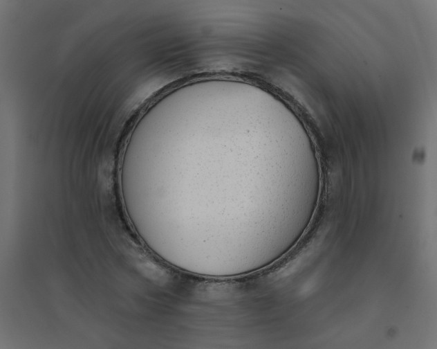 X0000094460778200711211540