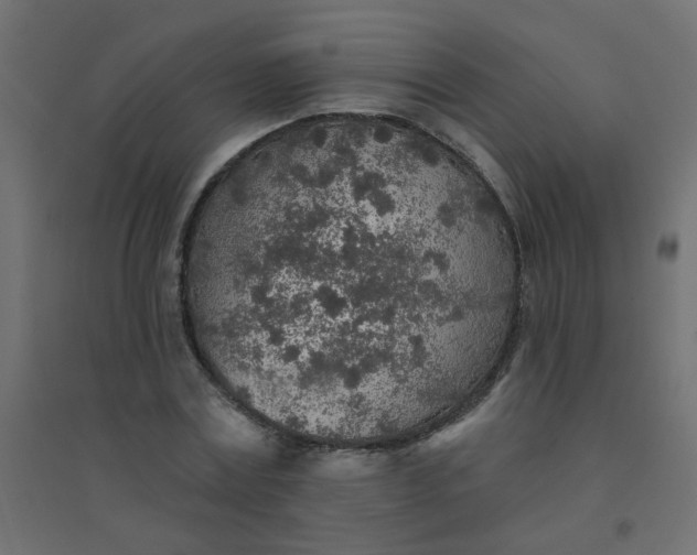 X0000094460779200711211540