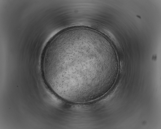 X0000094460780200711211540