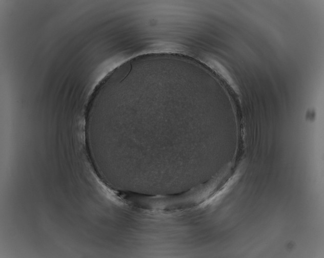 X0000094460781200711211540