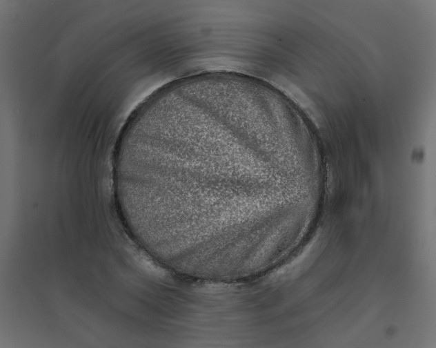 X0000094460782200711211540