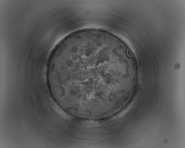 X0000094460783200711211540