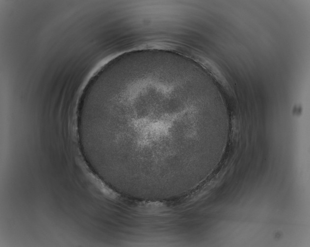 X0000094460784200711211540