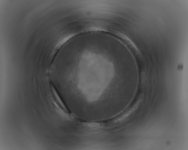 X0000094460785200711211540