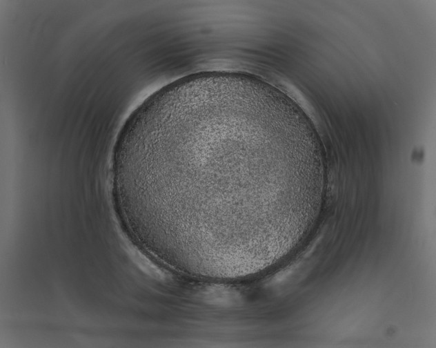 X0000094460787200711211539