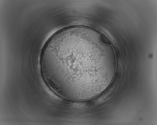 X0000094460788200711211539