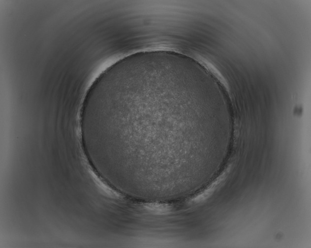 X0000094460789200711211539