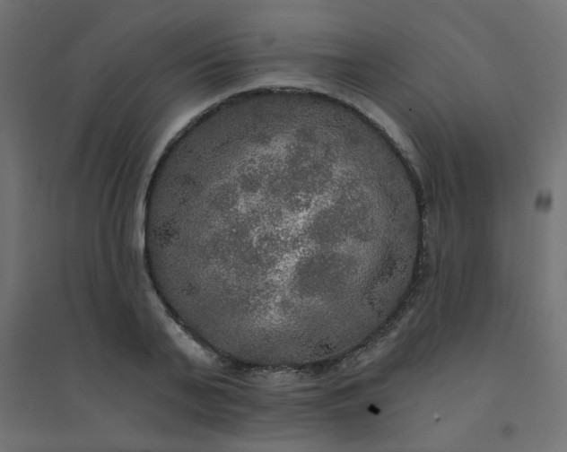 X0000094460791200711211539