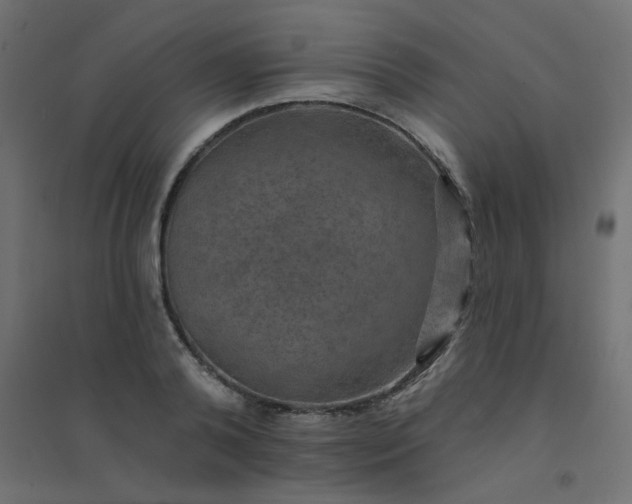 X0000094460792200711211539