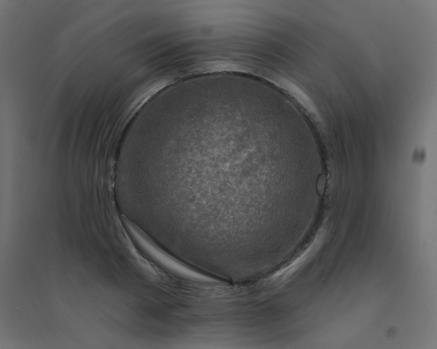 X0000094460793200711211539