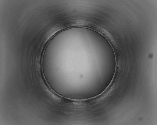 X0000094460794200711211539