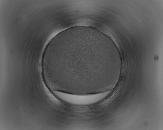 X0000094460795200711211539