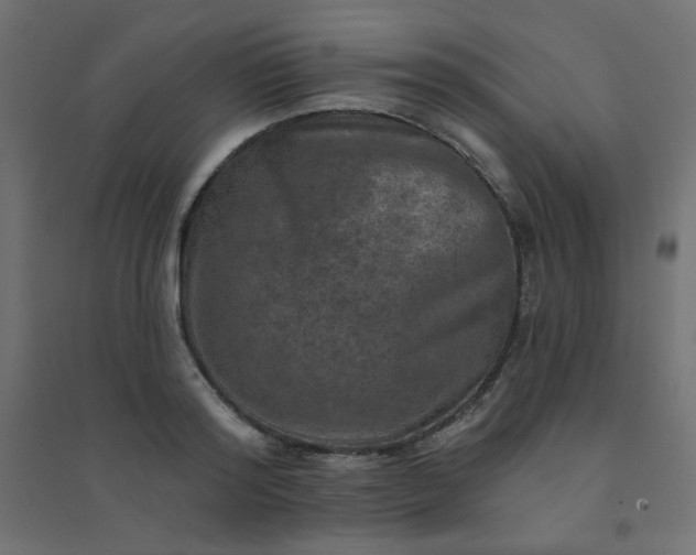 X0000094460796200711211539