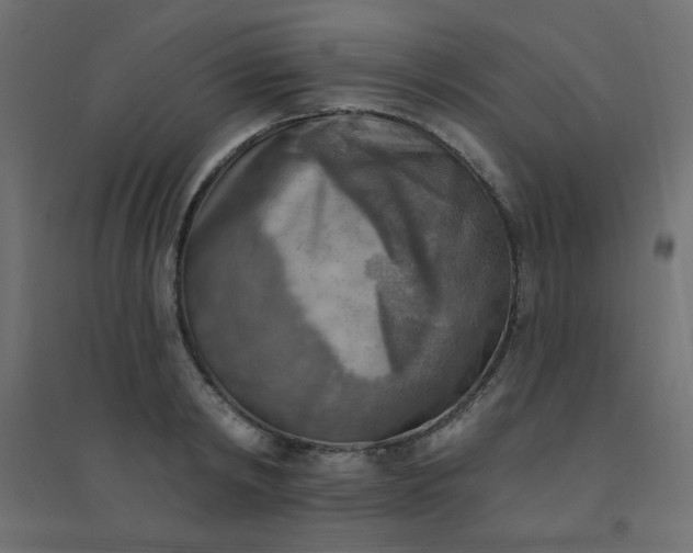 X0000094460798200711211539