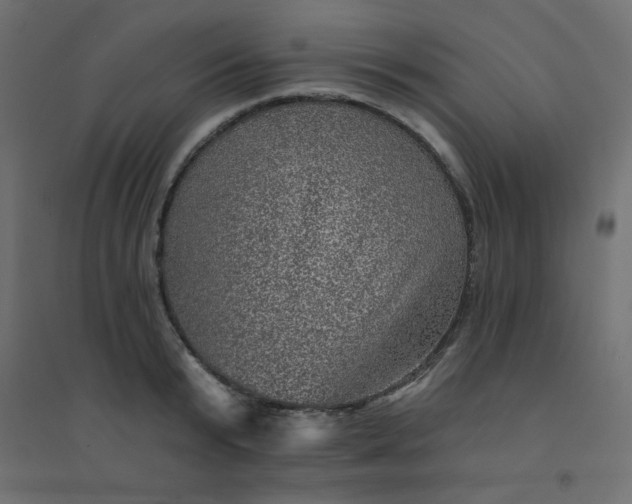 X0000094460799200711211539