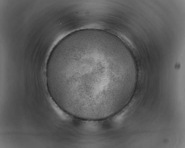 X0000094460800200711211539