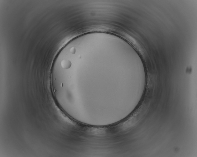 X0000094460802200711211539