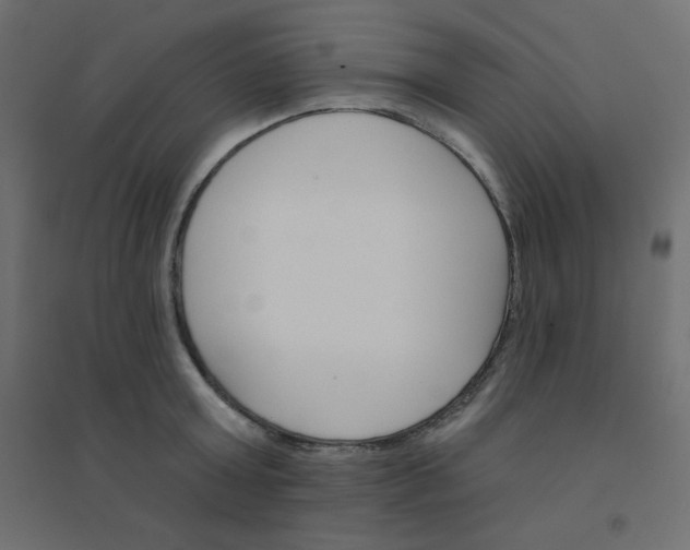 X0000094460803200711211539