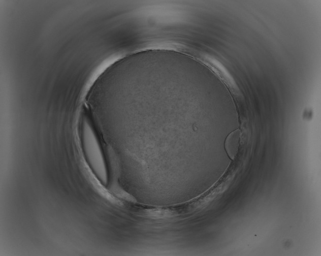 X0000094460804200711211539