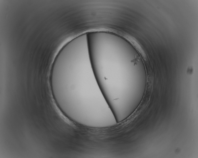 X0000094460805200711211539