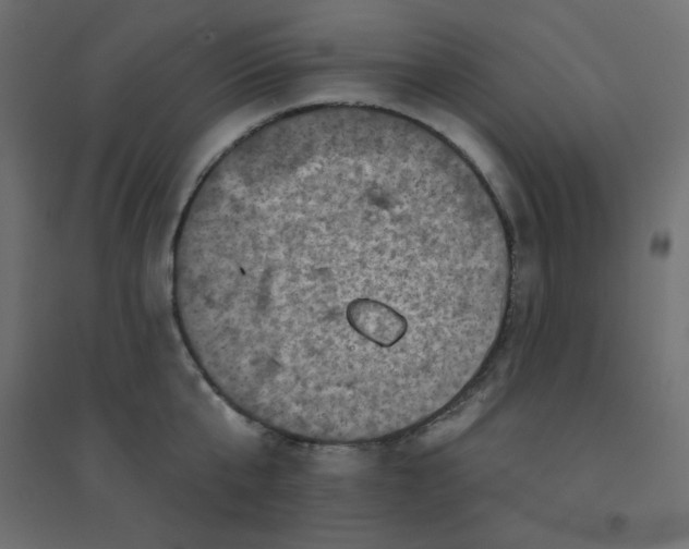 X0000094460807200711211539