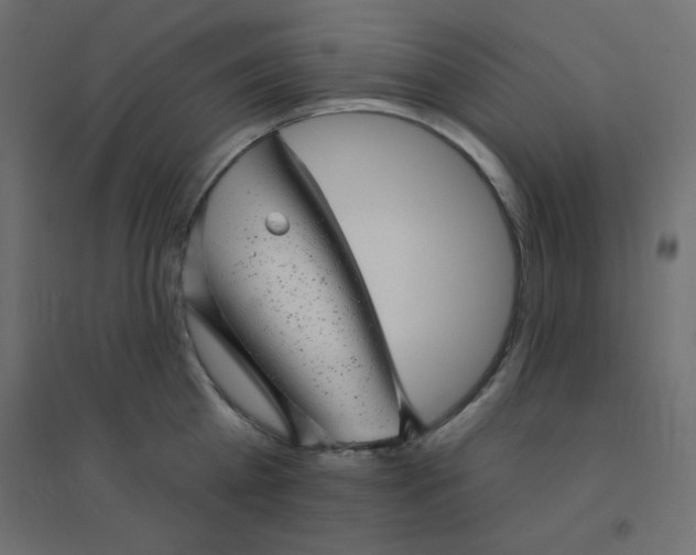 X0000094460809200711211539