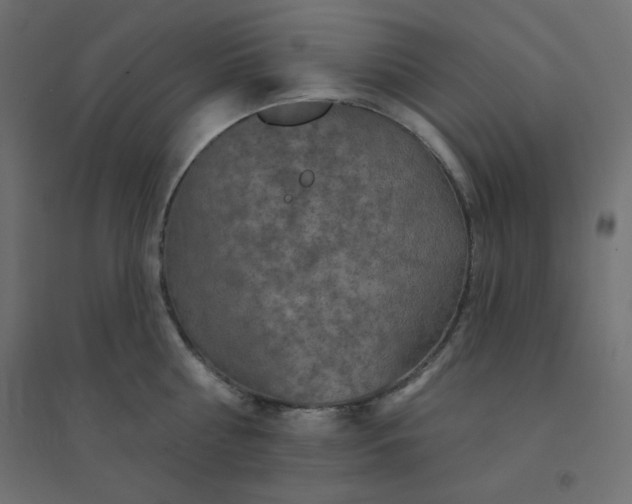 X0000094460810200711211539