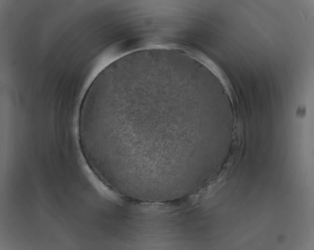 X0000094460811200711211539