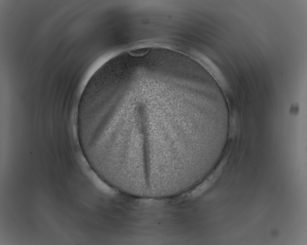 X0000094460812200711211539