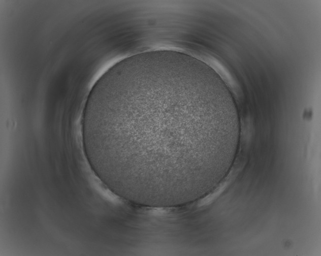 X0000094460814200711211539