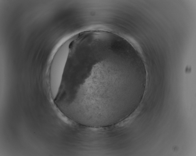 X0000094460816200711211539