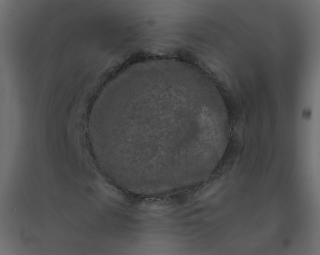 X0000094460817200711211538