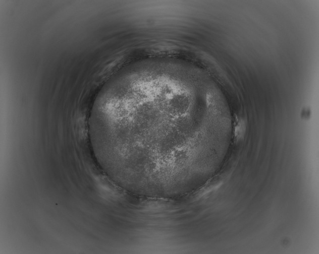 X0000094460819200711211538